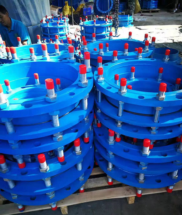 �������^����չʾ